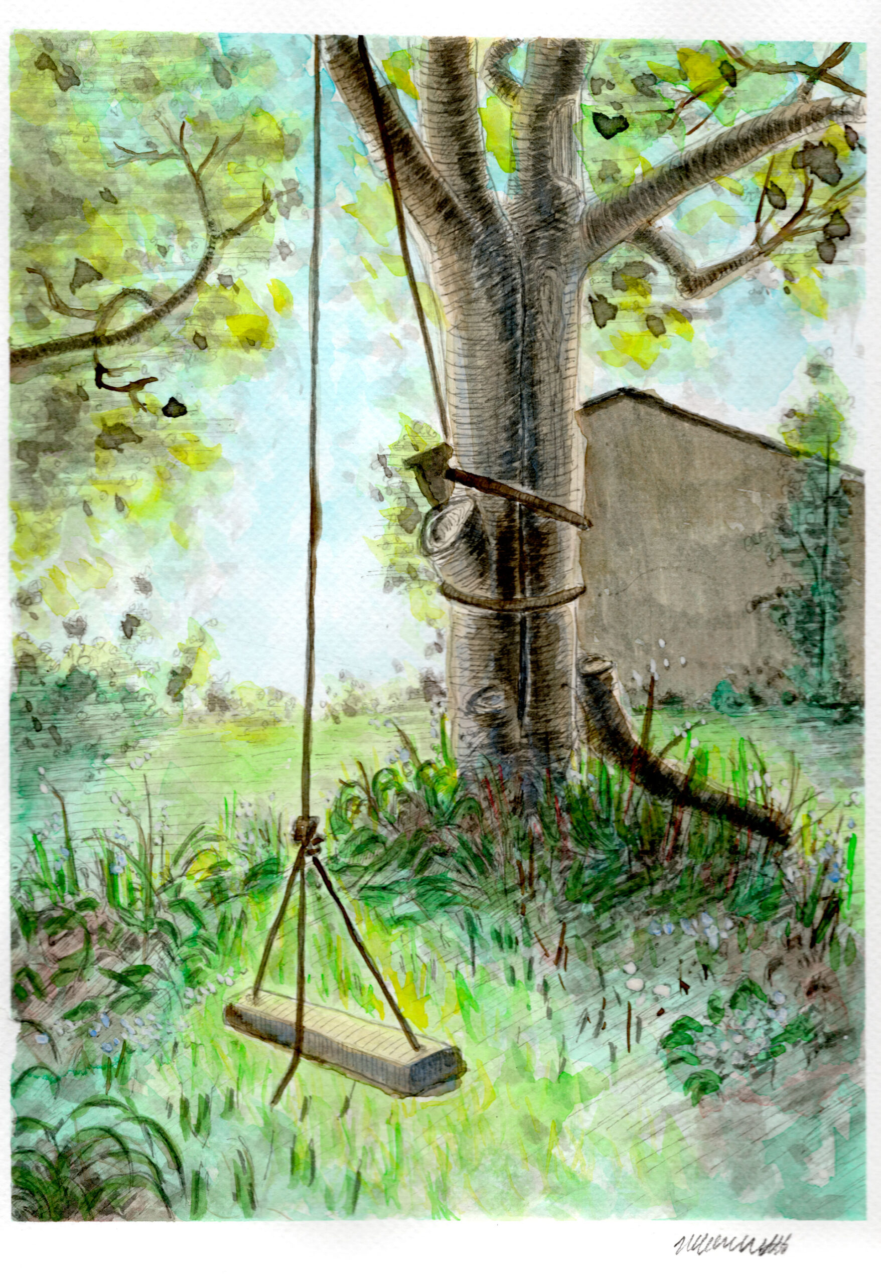 Tree and Swing