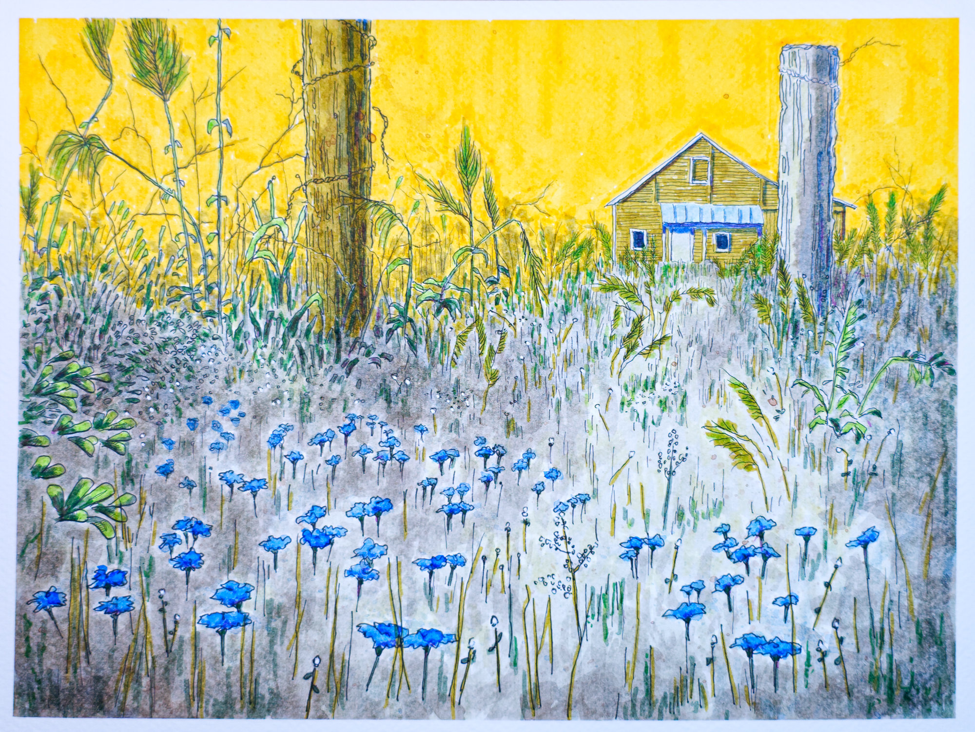 A Fleeting Thought, Held