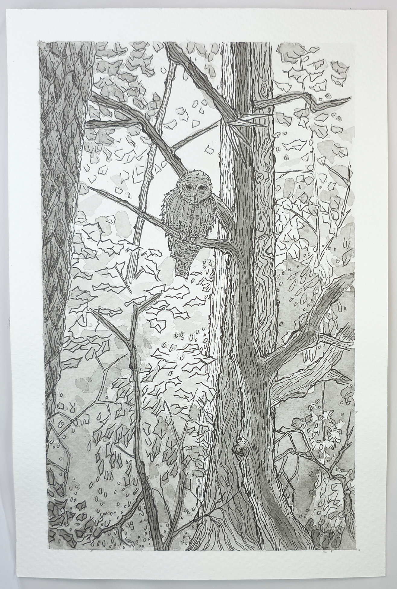 River Bottom Watchman